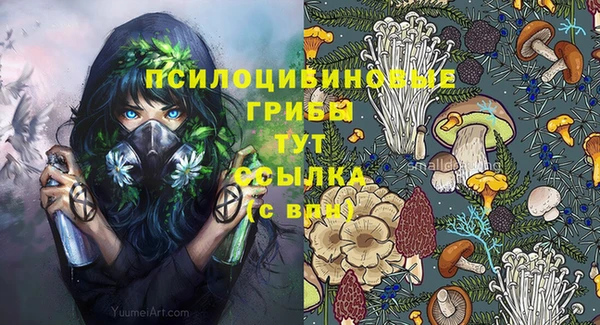 прущие крисы Аркадак
