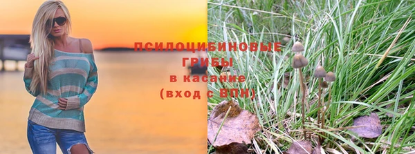 ГАЛЛЮЦИНОГЕННЫЕ ГРИБЫ Арсеньев
