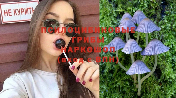 а пвп мука Армянск
